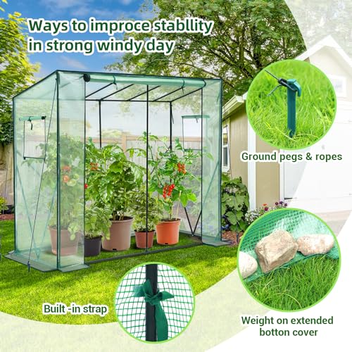 Lean to Greenhouse for Outdoors: Ohuhu Portable Tomato Green House Heavy Duty with Roll-Up Zippered Door, Tall Plastic Greenhouses for Outside Winter Plants Growing Shed for Backyard, 6.6x2.5x5.6 FT - color: Green, size: 6.6' x 2.5' x 5.5'