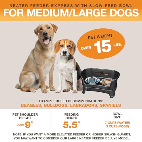 Neater Feeder - Express Model w/ Slow Feed Bowl - Mess-Proof Dog Bowls (M/L, Black) Made in USA – Elevated, No Spill, Non-Tip, Non-Slip, Raised Stainless Steel Food/Water Pet Bowls Aid Digestion - color: Midnight Black, size: Medium to Large w/ Metal Slow