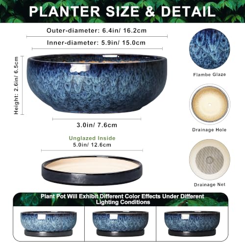 Succulent Pots, 6 Inch Ceramic Bonsai Pots with Saucer, Blue - color: Blue, size: 6 Inch