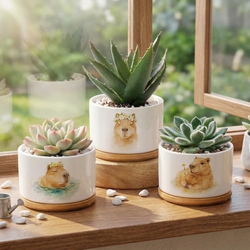 Jingmore 3 Pcs Capybara Decor Succulent Planter, Ceramic Gift for Women - style: Capybara