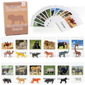 MEROCO Montessori Animal Matching Game, 24 Pcs Safari Figurines with Cards - style: Zoo Animal