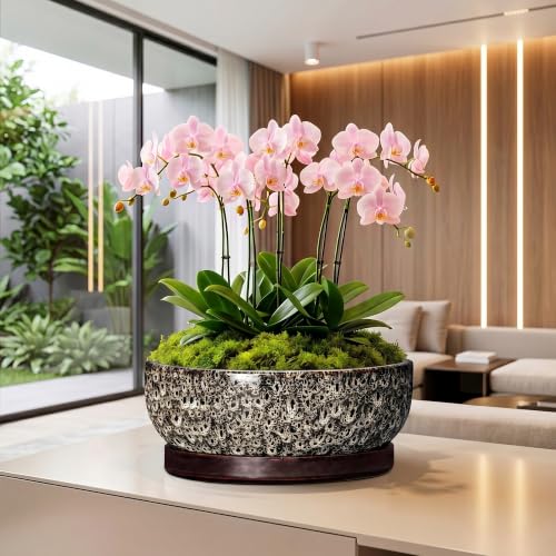 13 Inch Ceramic Bonsai Tree Pot with Saucer, White Leopard - color: White Leopard, size: 13 Inch