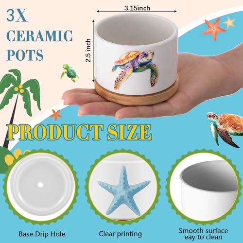 Jingmore 3 Pcs Sea Turtle Succulent Planter, Ceramic Gift for Women - style: Sea Turtle