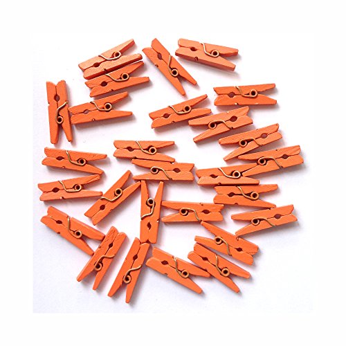 LWR CRAFTS Wooden Mini Clothespins 100 Per Pack 1" 2.5cm (Orange) - color: Orange