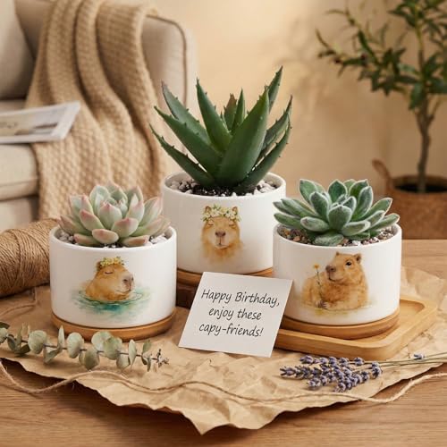 Jingmore 3 Pcs Capybara Decor Succulent Planter, Ceramic Gift for Women - style: Capybara