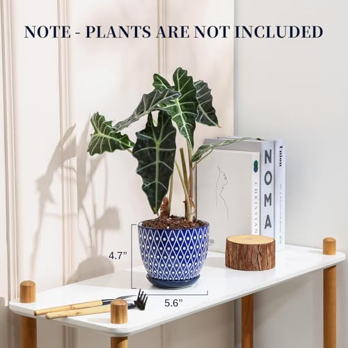 Selamica Ceramic Plant Pots, 5.6 Inch Flower Pots for Indoor Plants with Drainage Hole and Saucer,Home Decor, Set of 4, Vintage Blue - color: Vintage Blue, size: 5.6 inch, set of 4