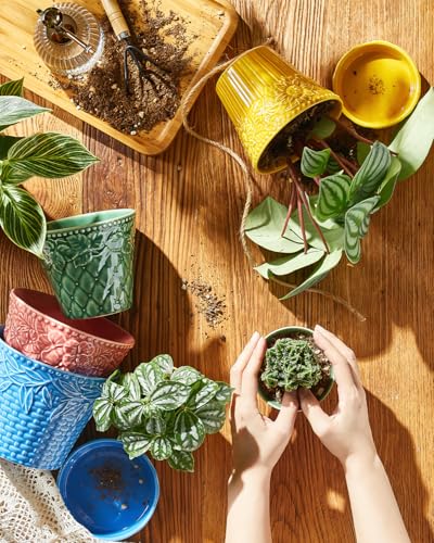 Metahom Colorful Ceramic Pots for Plants, 4.9 Inch Flower Pots Set of 4 - color: Assorted Colors, size: 4.9 Inch