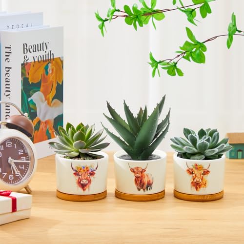 Jingmore 3 Pcs Highland Cow Succulent Planter, Ceramic Gift for Women - style: Highland Cow