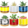 6 Pcs Christmas Teacher Gifts Mini Ceramic Succulent Plant Pot, Classic - style: Classic
