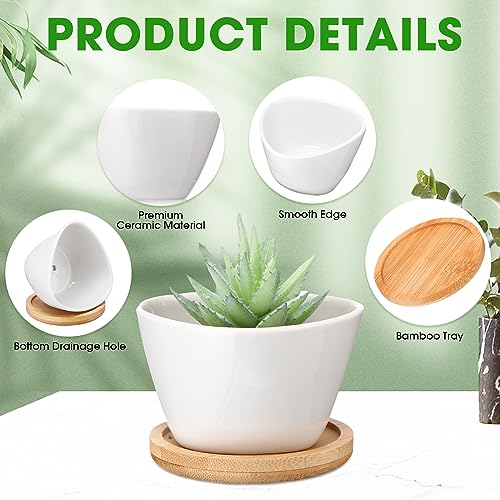Domensi 24 Pack Small Succulent Pots, Mini Ceramic Succulent Planter, White