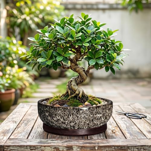 Succulent Pots, 10 Inch Ceramic Bonsai Tree Pots, White Leopard - color: White Leopard, size: 10 Inch