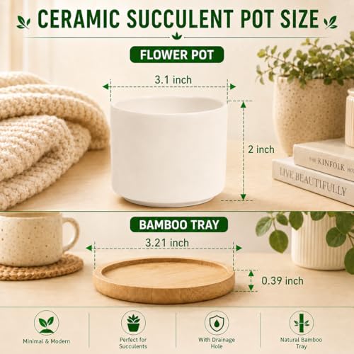 ZOUTOG 4 Pack 3.1" Ceramic Succulent Pots,White Planter with Drainage Tray - size: 4 Pack 3.1"