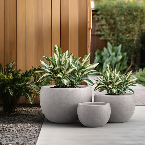 Kante Set of 3 CON Gray Concrete Bowl Planters 19.9" 15.7" 11.8" Dia - color: Light Gray, size: 19.9"D + 15.7"D + 11.8"D