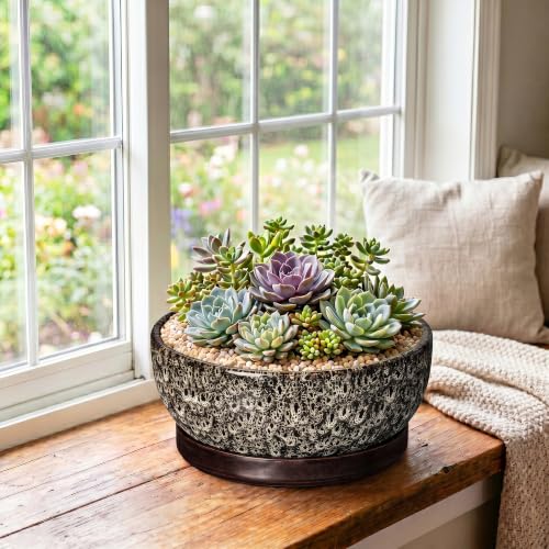 Succulent Pots, 10 Inch Ceramic Bonsai Tree Pots, White Leopard - color: White Leopard, size: 10 Inch