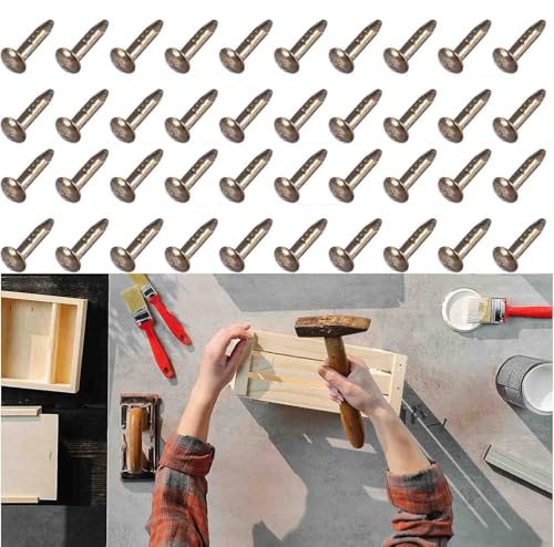 Teeny Tiny Wooden Nails 1/4inch for DIY Craft Projects, Antique Drawer Repairing, Mini Boxes Decorative Accessories[Set of 200pcs] (1×6mm/0.04×0.23inch, Bronze) - color: Bronze, style: 1*6mm