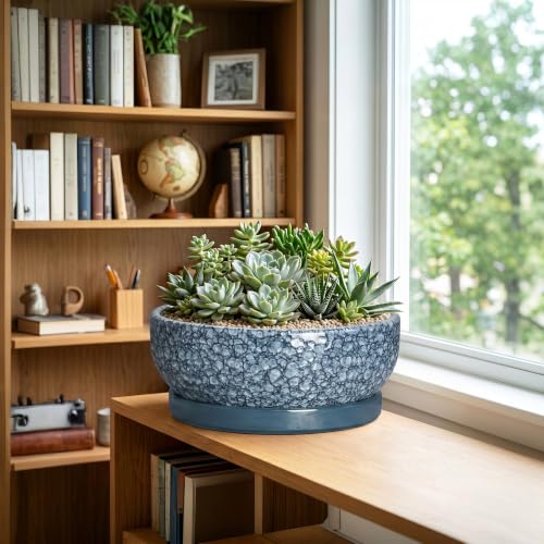 Bonsai Pots 13 Inch, Ceramic Succulent Planter with Tray, Scale Blue - color: Scale Blue, size: 13 Inch