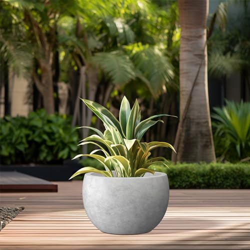 Kante Small Round Bowl Pale Gray Concrete Planter 11.8" Dia, Outdoor - color: Natural Concrete, size: 11.8" d