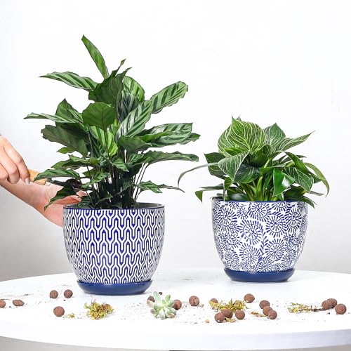 Selamica Ceramica Plant Pots, 6.5 Inch Flower Pots Set of 2 with Drainage Holes & Saucer, Planters for Indoor Plants, Home Decor, Vintage Blue - color: Vintage Blue, size: 6.5 Inch, Set of 2