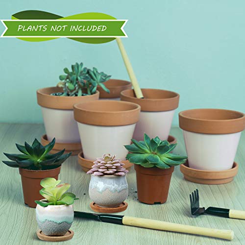 BBTO 6 Set Mini Succulent Pots with Drainage and Bamboo Tray 2.9 x 3.1in