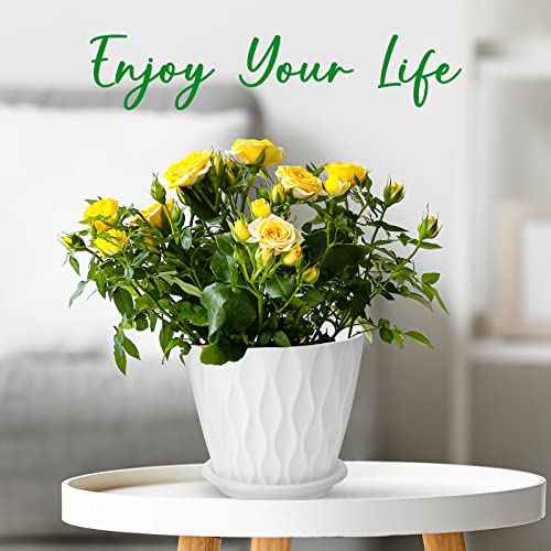 YNNICO 6 inch Plant Pots for Indoor with Drainage Holes and Tray Saucers - color: White, size: 6 inch