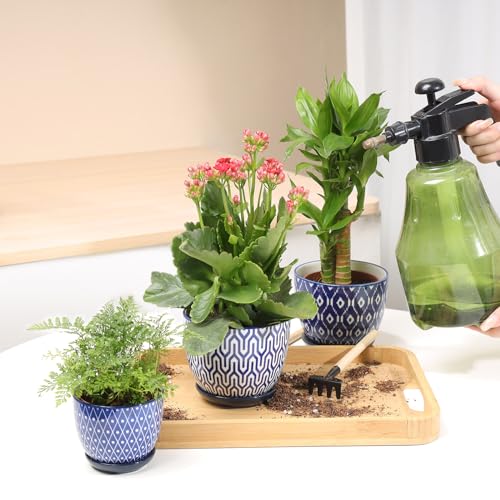 Selamica Ceramic Succulent Pots with Drainage Holes, Small Flower Pots 3.5 Inch Plant Pots for Indoor Plants with Saucers, Cactus Succulent, Home Decor, Set of 4, Vintage Blue - color: Vintage Blue, size: 3.5 Inch, Set of 4