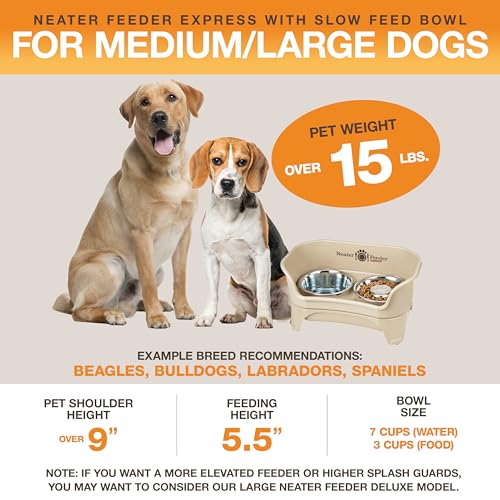 Neater Feeder - Express Model w/ Slow Feed Bowl - Mess-Proof Dog Bowls (M/L, Almond) Made in USA – Elevated, No Spill, Non-Tip, Non-Slip, Raised Stainless Steel Food/Water Pet Bowls Aid Digestion - color: Almond, size: Medium to Large w/ Metal Slow Feed B