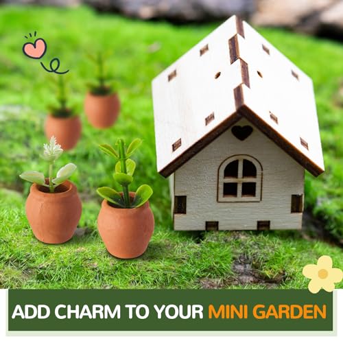 40 Pcs Mini Terracotta Clay Pots for Succulent Cactus Crafts
