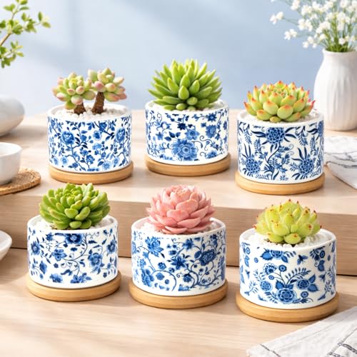 Succulent Pots, 6PCS Small Pots for Plants with Drainage & Saucers, 3.1 Inch Ceramic Flower Planters for Indoor Plants, Decorative Planters for Succulent Cactus, Home, Office, Desk - color: Blue-porcelain-round