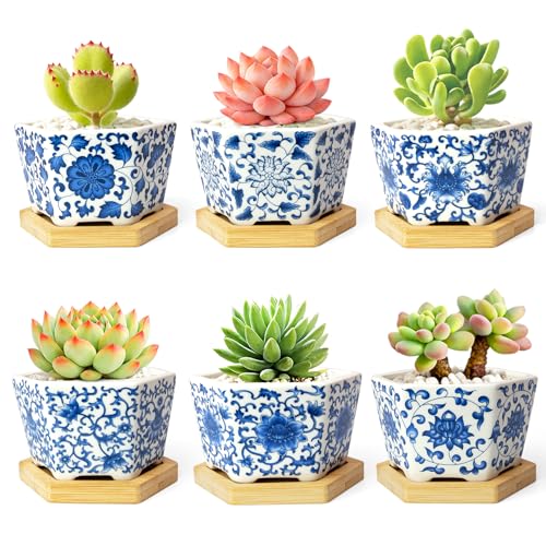 Succulent Pots, 3.7" Small Plant Pots with Drainage Tray, 6 Pack Small Planters for Indoor Plants, Ceramic Flower Pots for Cactus, Mini Succulents, Home Decor, Vintage Blue - color: Blue-porcelain-hexagon-short
