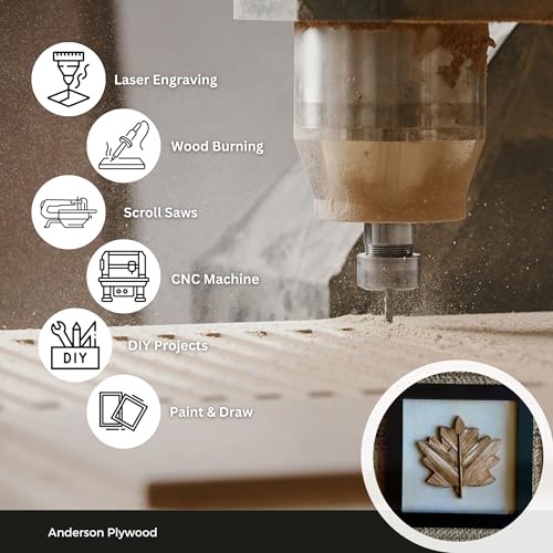 3MM 1/8" x 12" x 20" Baltic Birch Plywood - B/BB Grade (6pk) Ready for Glowforge Laser Printers - Perfect for Arts and Crafts, School Projects and DIY Projects - color: Pack of 6, size: 1/8" x 12" x 20"