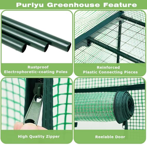 Purlyu Mini Greenhouse for Indoor Outdoor,Plant Green House 4-Tier Rack Stand Portable Greenhouses with Durable PE Cover for Seedling, 2.5x1.6x5.2 FT Ideal Gardening Gifts for Women Men(PLGH704G) - style: 4 TIERS PE (Green)