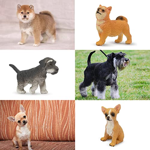 Toymany 12PCS Mini Dog Figurines – Realistic Hand-Painted Plastic Puppy Figures, Lifelike Animal Toy Set for Kids, Perfect Cake Toppers & Birthday for Boys Girls 3+ - style: A-Dogs