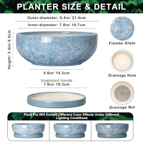 Succulent Planter 8 Inch, Ceramic Bonsai Planter, Droplet Blue - color: Droplet Blue, size: 8 Inch