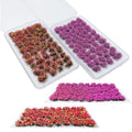 Woohome 2 Pack Miniature Colorful Flower Cluster Self Adhesive Flower Vegetation Groups Pink Orange Static Grass Tufts for Train Landscape Railroad Scenery Sand Military Layout Model - color: 2b