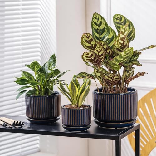 SURE YUESI Ceramic Plant Pots Set of 3, Indoor Outdoor Planters with Drainage Hole and Saucer, Ceramic Flower Pots for Indoor Plants, 4.3+5.5+6.8 Inch, Home, Garden, Patio and Office, Glossy Blue - color: Navy Blue