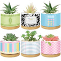 6 Pcs Christmas Teacher Gifts Mini Ceramic Succulent Plant Pot, Fresh - style: Fresh