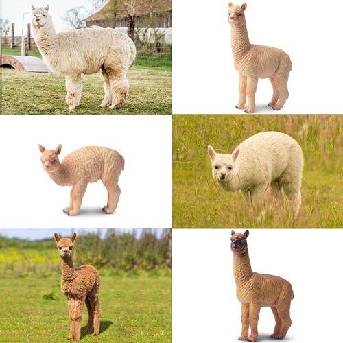 Toymany 8PCS Realistic Alpaca Figurines Llama Figures - Plastic Forest Jungle Animal Figurines, Christmas Birthday Toy Gift for Kids Boys Girls - style: 8PCS Alpaca