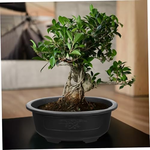 2Pcs Bonsai Training Pot 15 inch Plastic Flower Pot Bonsai Pot with Drainage Hole, Bonsai Planter Pot Plants Growing Pots for Nursery, Garden, Balcony, Black