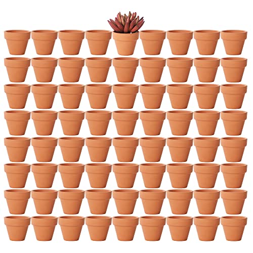 Yishang 1.9 Inch Tiny Terracotta Pots Pack of 72-Small Mini Clay Pots with Drainage Holes Flower Nursery Terra Cotta Planter for Tiny Cactus Herb lithop,Succulent Plants,Crafts,Wedding Favor - color: Terracotta
