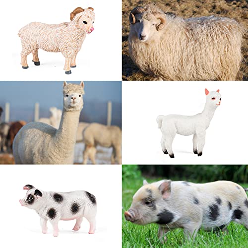 SIENON 12Pack Realistic Mini Farm Animals Figures Toys for Kids - size: 12 Pieces Medium Size Farm Animals