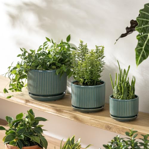 SURE YUESI Ceramic Plant Flower Pots for Indoor Plant, 4.33"+5.5"+6.88", Set of 3, Orchid Pot with Drainage Hole, Saucer and Hole Mesh Pad for Succulents, Herbs and African Violet (Light Blue) - color: Light Blue