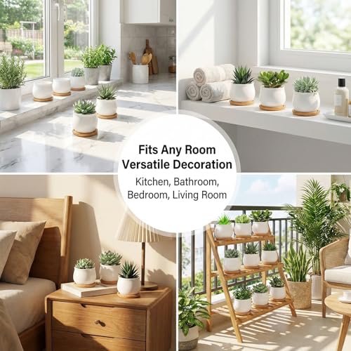 SHECIPIN 24 Pcs 2.5 Inch Small Succulent Pots with Drainage & Bamboo Trays - Assorted Small Succulent Planters Bulk for Home Office Garden Decor - color: 24pcs White
