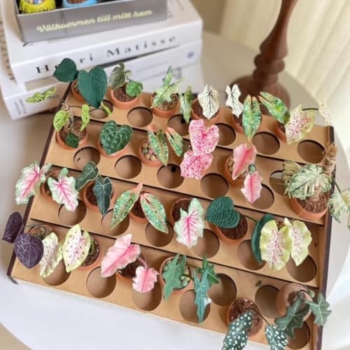 Mini Terracotta Pots – Small Clay Flower Pots for Succulents, Cactus, DIY Crafts, Fairy Garden, School Projects, Mini Planters – Set of 20 (Rimless Cylinder, 1.2 Inch) - size: 1.2 Inch, style: Rimless Cylinder