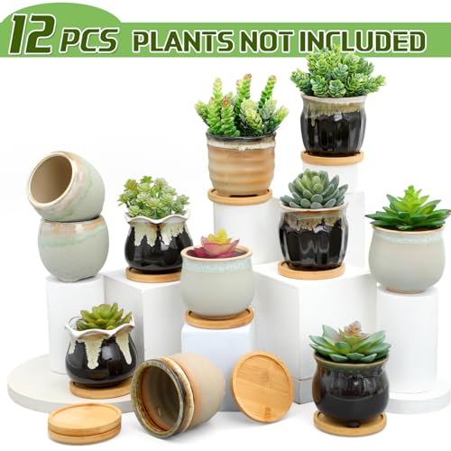 Remerry 12 Pcs Ceramic Succulent Pots with Drainage 3.5 Inch Bamboo Tray - size: 3.5 Inch