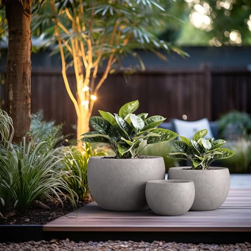 Kante Set of 3 CON Gray Concrete Bowl Planters 19.9" 15.7" 11.8" Dia - color: Light Gray, size: 19.9"D + 15.7"D + 11.8"D