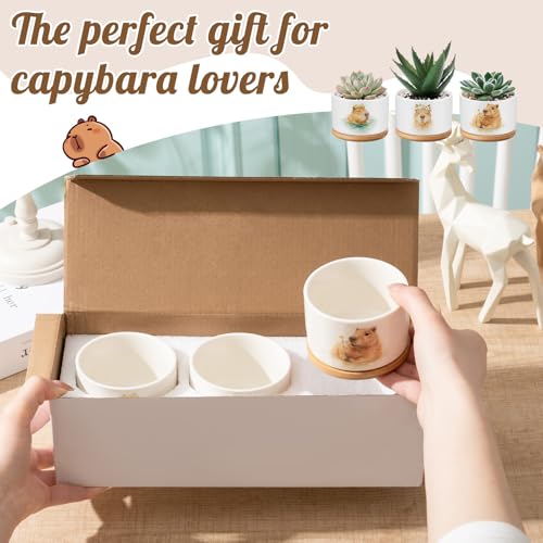 Jingmore 3 Pcs Capybara Decor Succulent Planter, Ceramic Gift for Women - style: Capybara