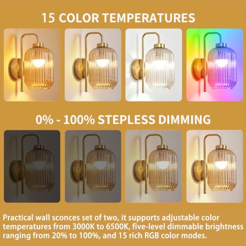 Wall Sconces Battery Operated,Rechargeable Wall Light with Glass Shade - color: Gold-Amber Shade