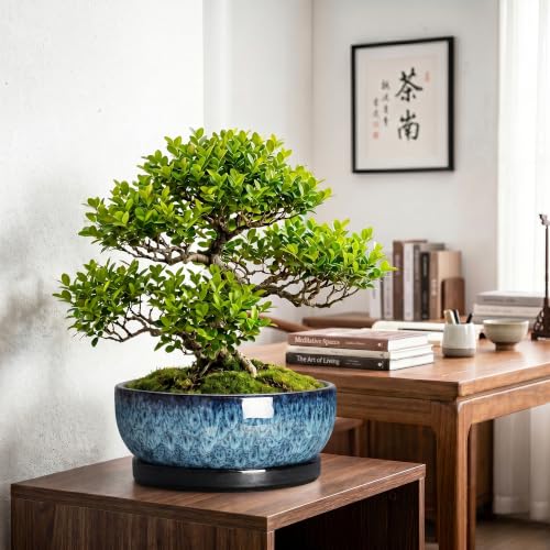Bonsai Pots, 13 Inch Ceramic Succulent Pot with Saucer, Blue - color: Blue, size: 13 Inch
