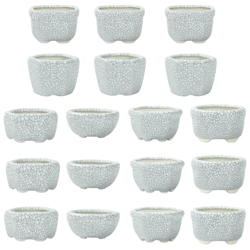 Bonsai Planter 1.8 inch (4.5cm) Mini Succulent Glazed Pots Set of 18 Gray White - color: Gray White