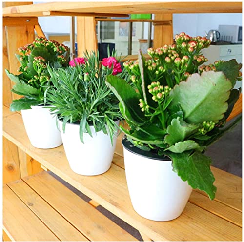 3.5“ Self Watering Planter White Flower Pot, 3 Pcs Small Planter Pot, Mini Plant Pot, for All Plants, Herbs, African Violets, Succulents, Flowers Or Start Plants, White, 3 inch - size: 3.5 Inch